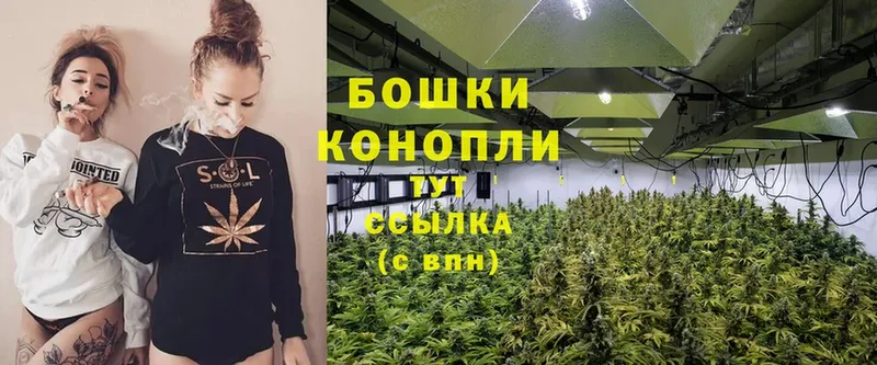 Бошки Шишки White Widow  Реутов 